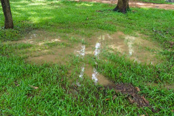 Cost of Storm Water Drainage Service in Mechanicsville
