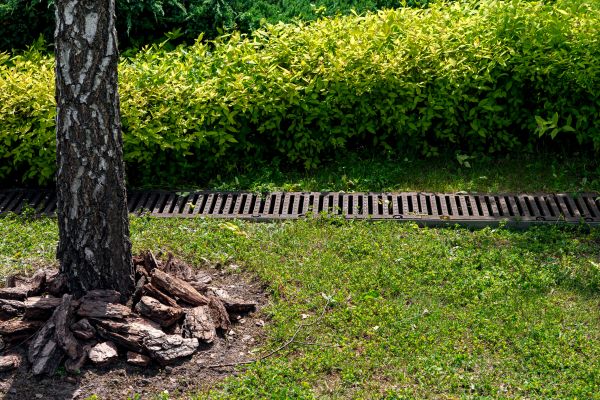 Cost of Wet Yard Drainage in Mechanicsville