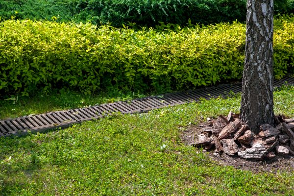Cost of Residential Landscape Drainage in Mechanicsville